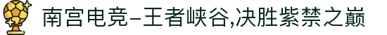 南宫电竞-王者峡谷,决胜紫禁之巅